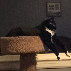 Meet your Posher, Whitney